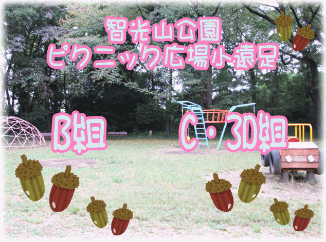 sNjbNLꏬ