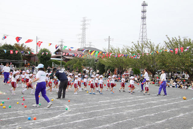 202409undokai01249.jpg