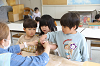 2504takenoko0387_thumb.png
