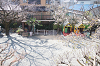 202504nyuen0027_thumb.png