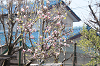 202504nyuen0032_thumb.png