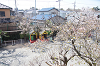 202504nyuen0041_thumb.png