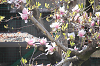 202504nyuen0042_thumb.png