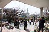 202504nyuen0591_thumb.png