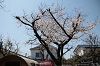 202504nyuen0595_thumb.png