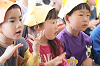 202504otanjo0238_thumb.png