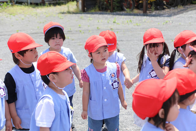 202505Cmaruyama0160.jpg