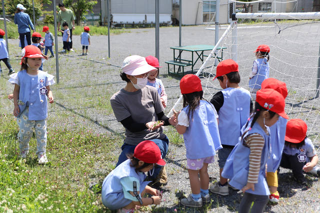 202505Cmaruyama0174.jpg
