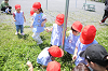 202505Cmaruyama0178_thumb.png