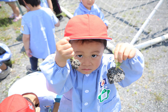 202505Cmaruyama0190.jpg