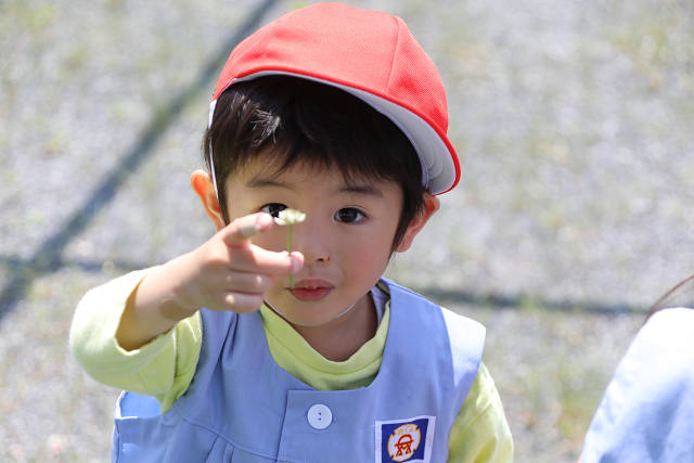 202505Cmaruyama0196.jpg