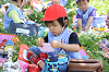 202505Cmaruyama0207_thumb.png