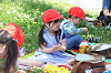202505Cmaruyama0211_thumb.png