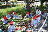 202505Cmaruyama0237_thumb.png