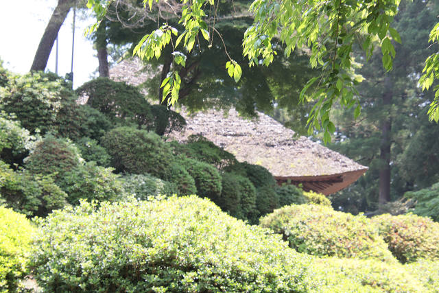 202505Asiofune0084.jpg