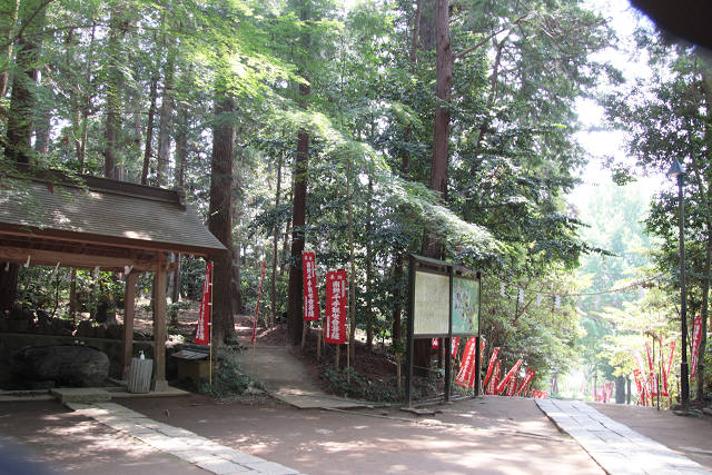 202505Asiofune0104.jpg
