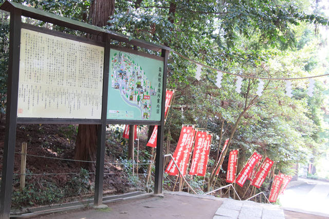 202505Asiofune0105.jpg