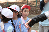 202505Asiofune0113_thumb.png