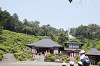 202505Asiofune0126_thumb.png