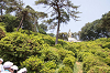 202505Asiofune0151_thumb.png