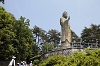 202505Asiofune0175_thumb.png
