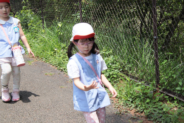 202505Asiofune0228.jpg