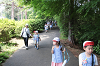 202505Asiofune0258_thumb.png