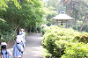 202505Asiofune0260_thumb.png
