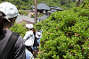 202505Asiofune0291_thumb.png
