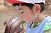 202505Asiofune0359_thumb.png