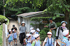 202505Asiofune0421_thumb.png