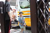 202505Asiofune0437_thumb.png