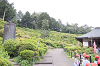 202505Bsiofune0126_thumb.png