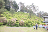 202505Bsiofune0163_thumb.png