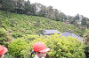 202505Bsiofune0191_thumb.png