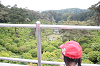 202505Bsiofune0202_thumb.png