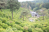 202505Bsiofune0213_thumb.png