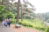 202505Bsiofune0235_thumb.png