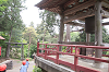 202505Bsiofune0255_thumb.png