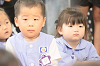 202505hahanohi0216_thumb.png
