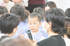202505hahanohi0303_thumb.png