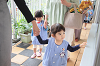 202505hahanohi0481_thumb.png