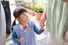 202505hahanohi0485_thumb.png