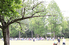 202505oyako0168_thumb.png