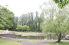 202505oyako0741_thumb.png