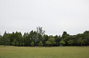 202505oyako0917_thumb.png