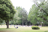 202505oyako1052_thumb.png
