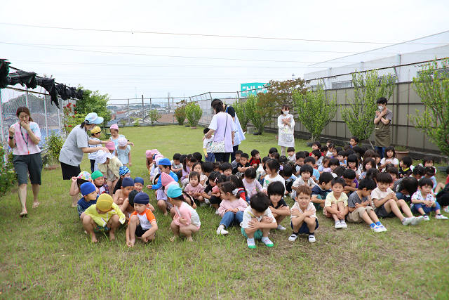 202506puluhiraki0292.jpg