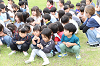 202506puluhiraki0294_thumb.png