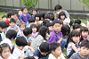 202506puluhiraki0300_thumb.png